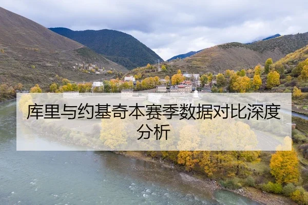 库里与约基奇本赛季数据对比深度分析